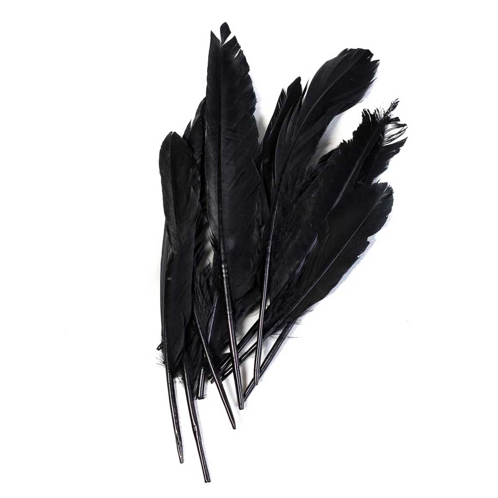 Duck Quill - 7" Feathers