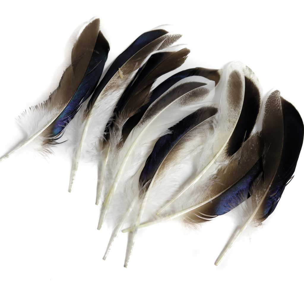 Imitation Harris Hawk Feathers