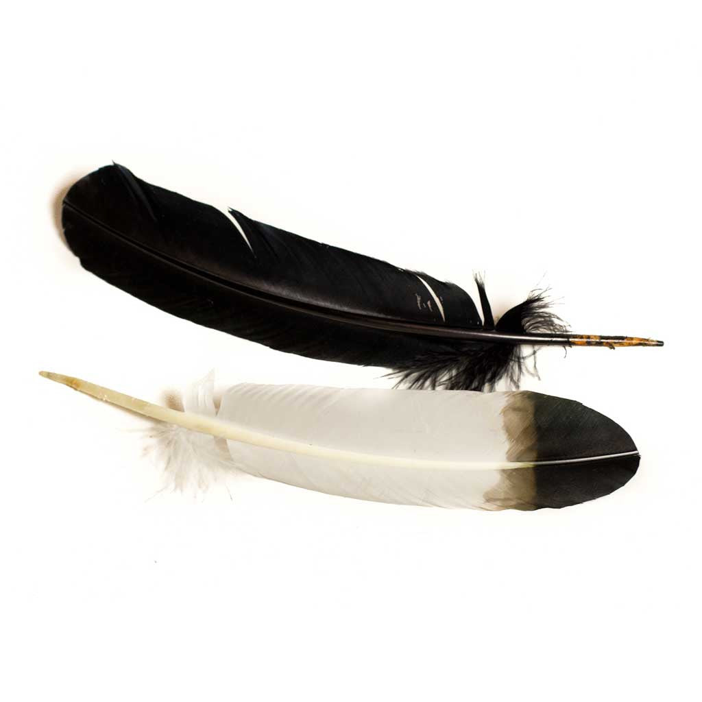 Feathers