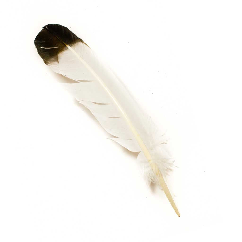 Turkey Feathers - Beaded Dreams
 - 1