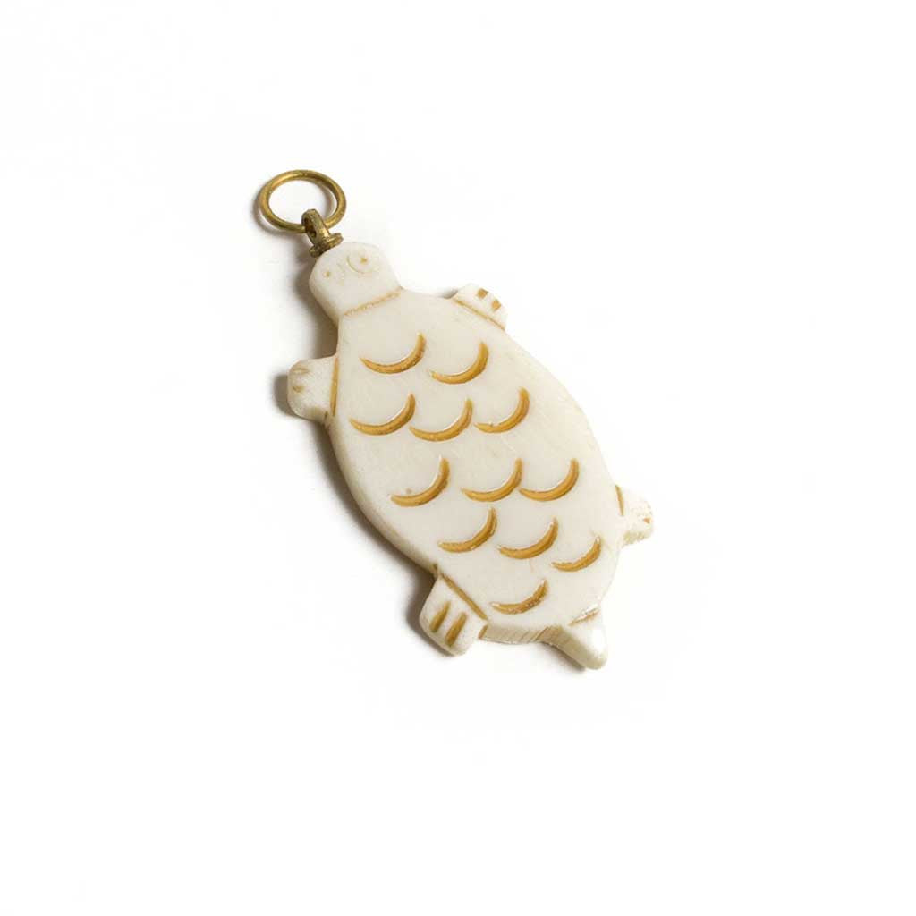 Small Bone Turtle