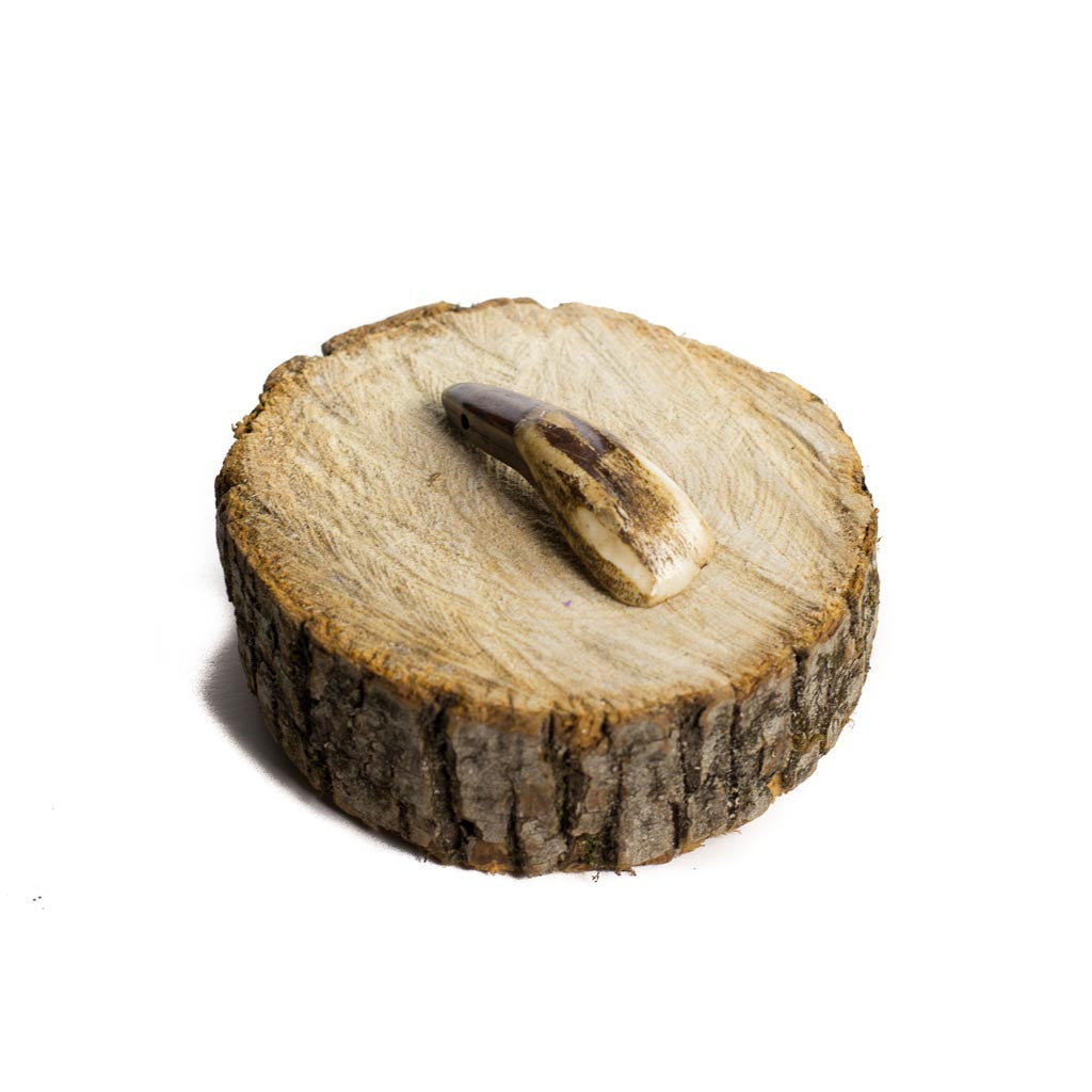 Antiqued Buffalo Tooth - Beaded Dreams
 - 1