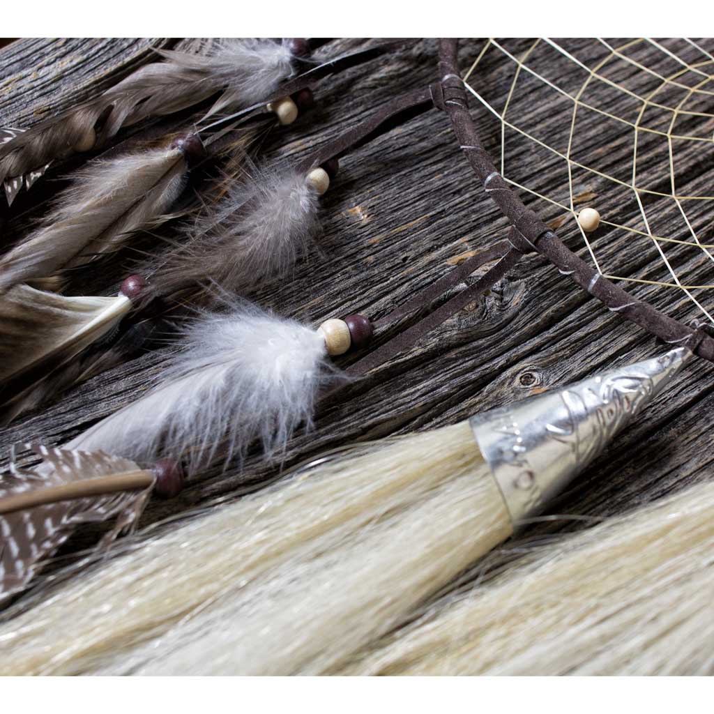 &#39;Dream Teachings&#39; 9&quot; Dreamcatcher