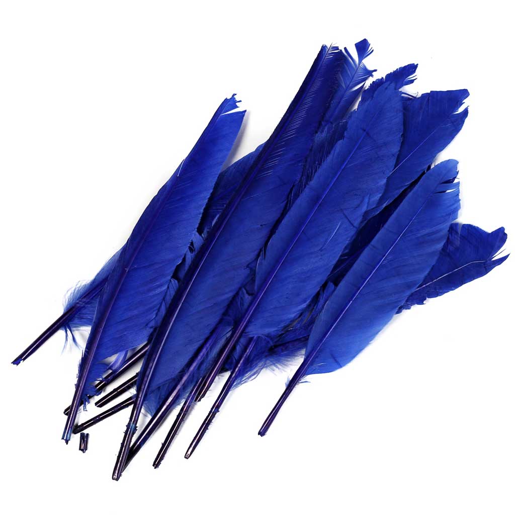 Duck Quill - 7" Feathers