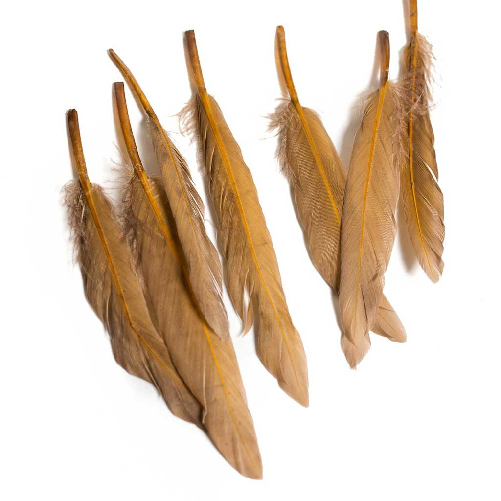 Duck Wing Quill 3-4&quot;