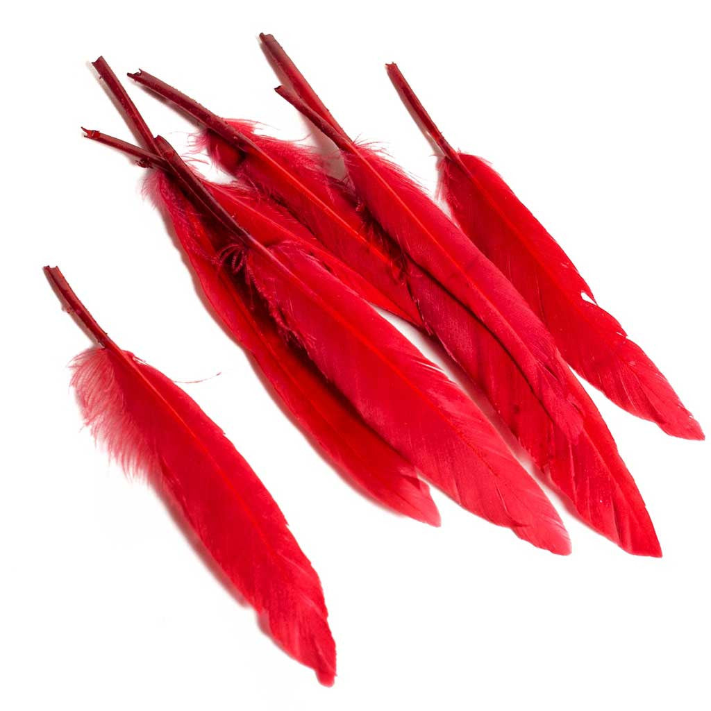 Duck Wing Quill 3-4&quot;