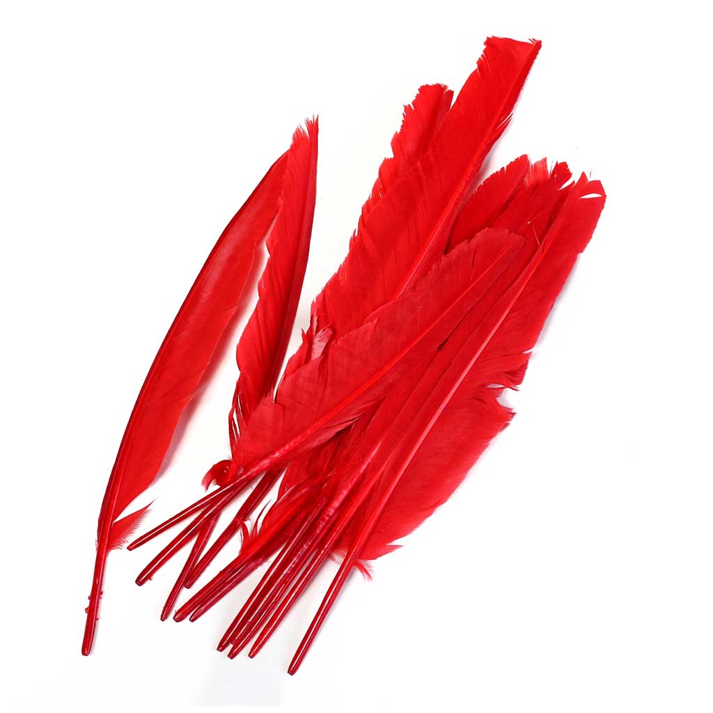 Duck Quill - 7&quot; Feathers