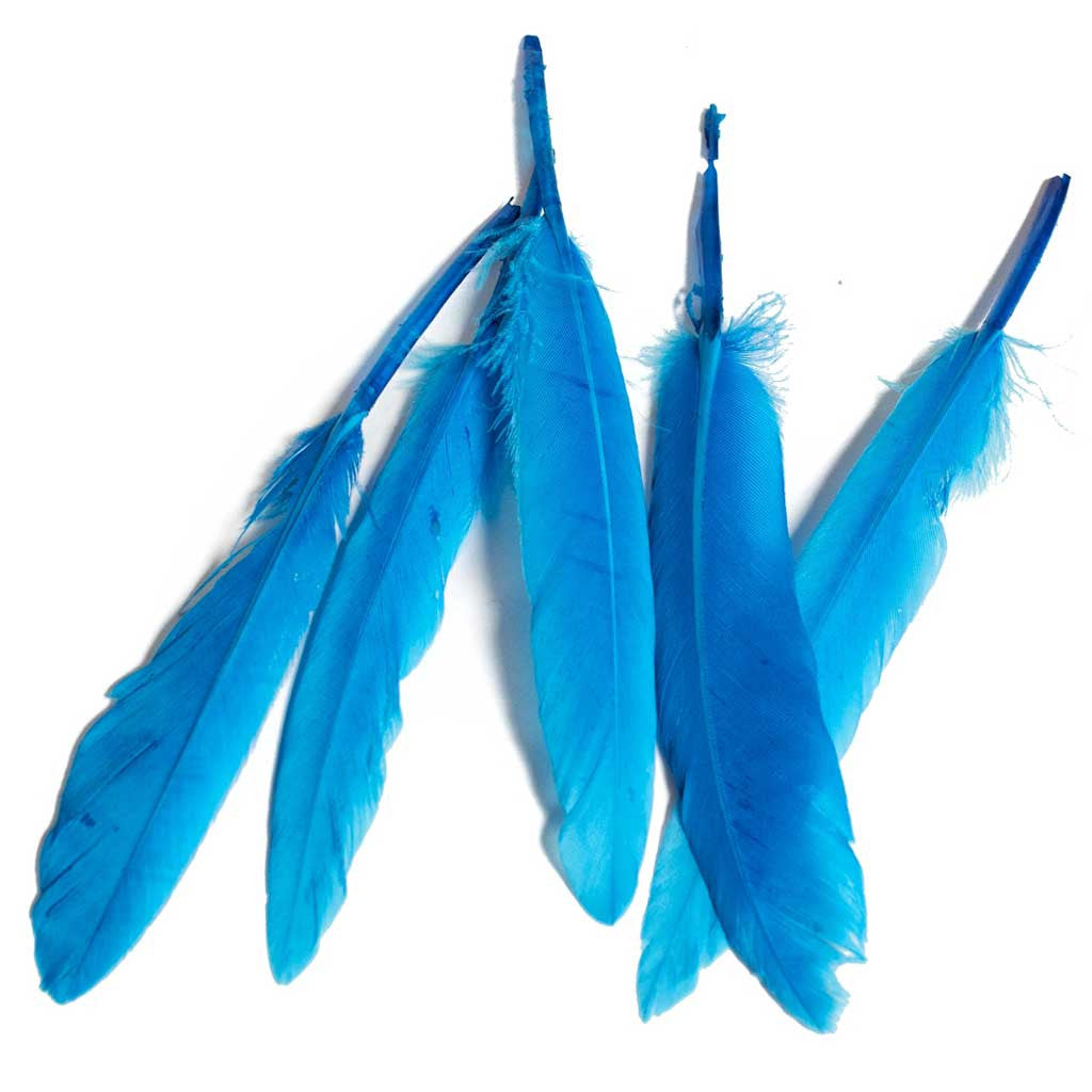 Duck Wing Quill 3-4&quot;