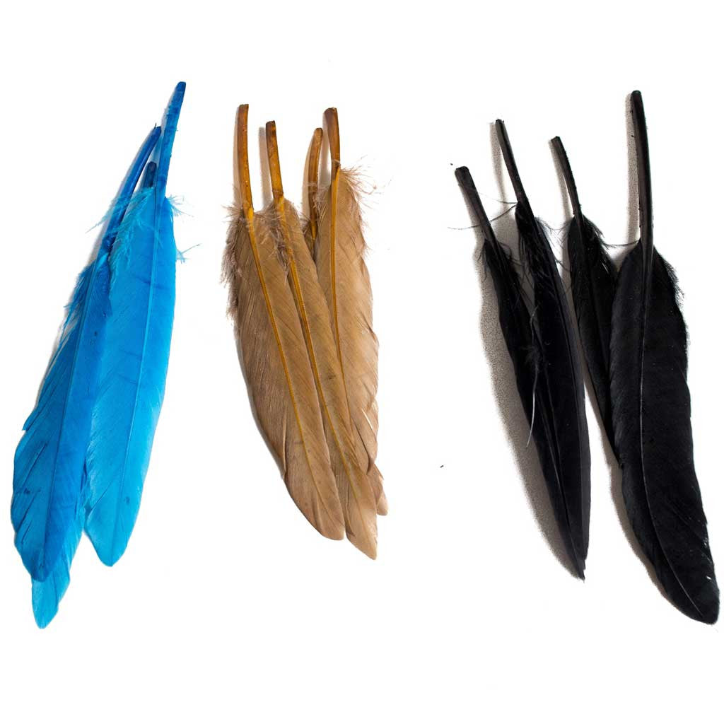 Duck Wing Quill 3-4"