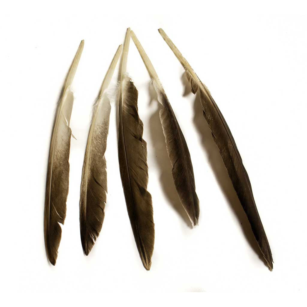 Goose Feathers - Beaded Dreams
