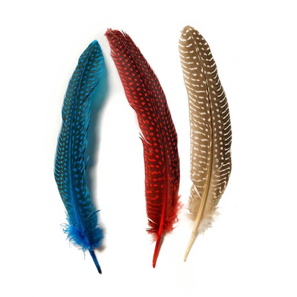 Guinea Fowl Quill 6-9&quot; - Beaded Dreams
 - 1