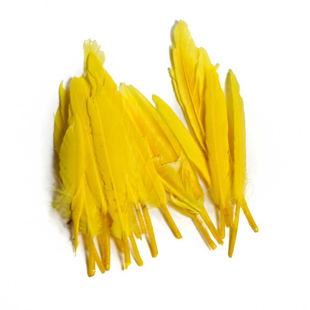 Duck Wing Quill 3-4&quot;