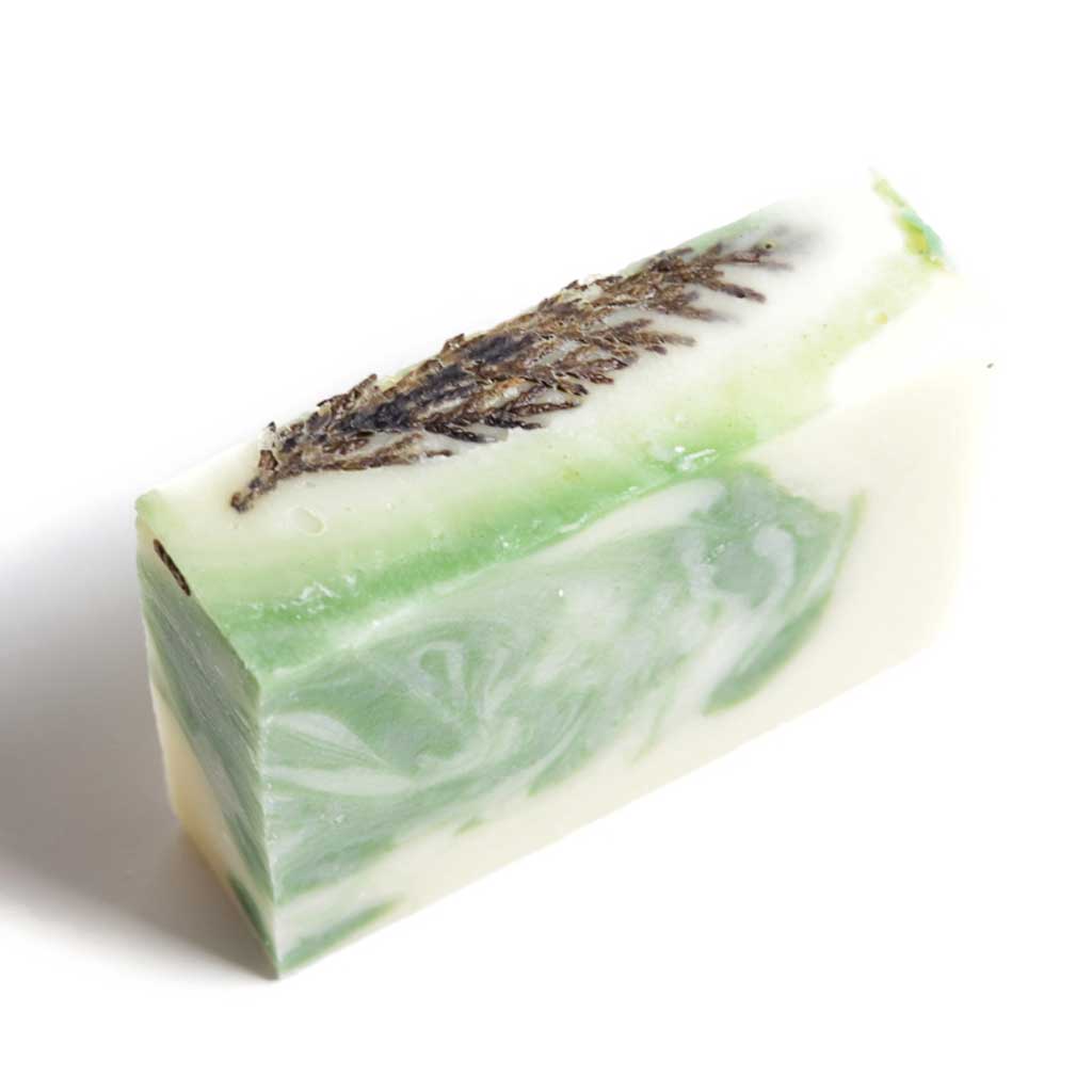 Cedar Soap
