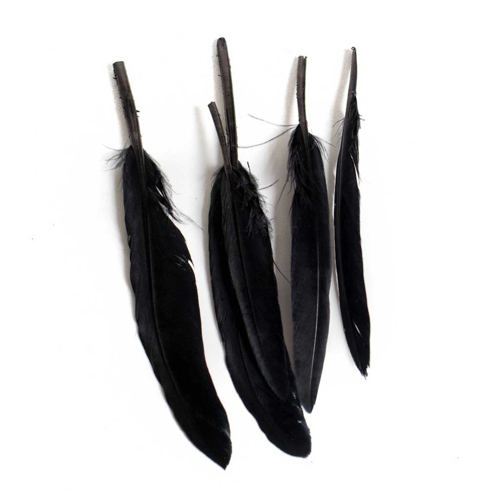 Duck Wing Quill 3-4&quot;