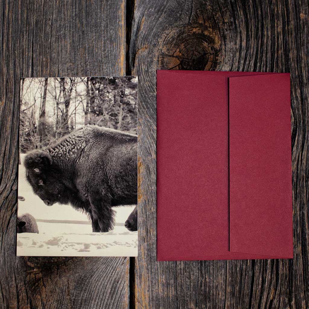 Gift Shipping Feature