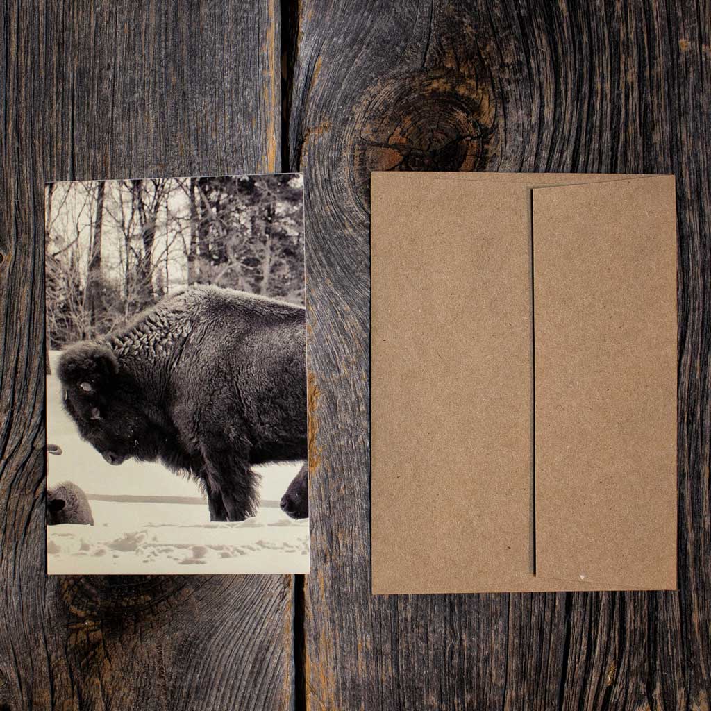 Gift Shipping Feature