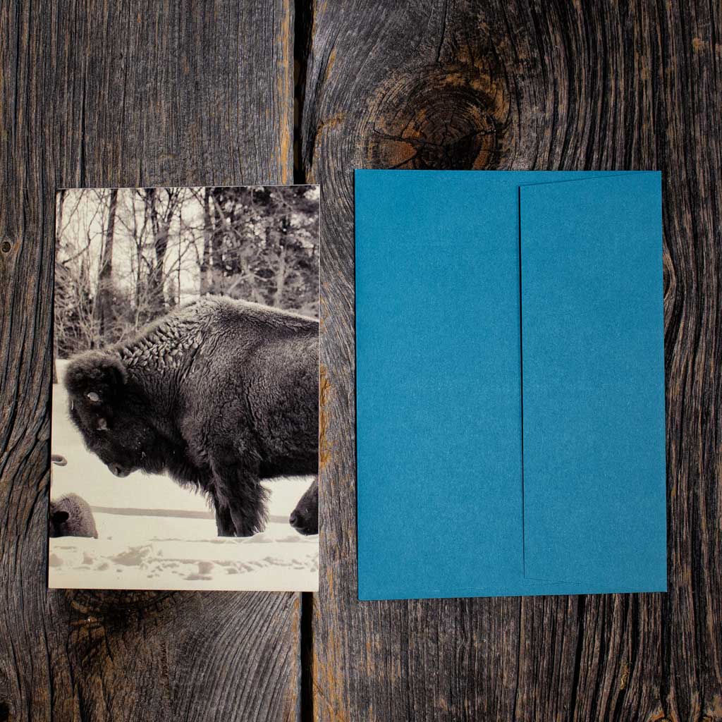 Gift Shipping Feature